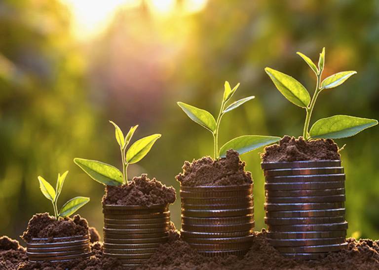 Want to attract more wealth? Get to know the Y-E=S formula