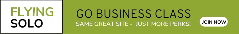 FS Business Class banner