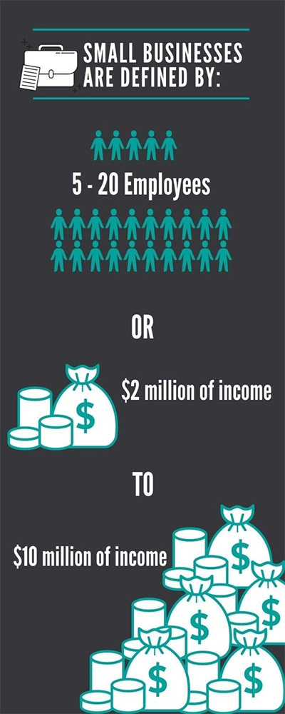 Small business statistics infographic1 - Wiseman Accountants