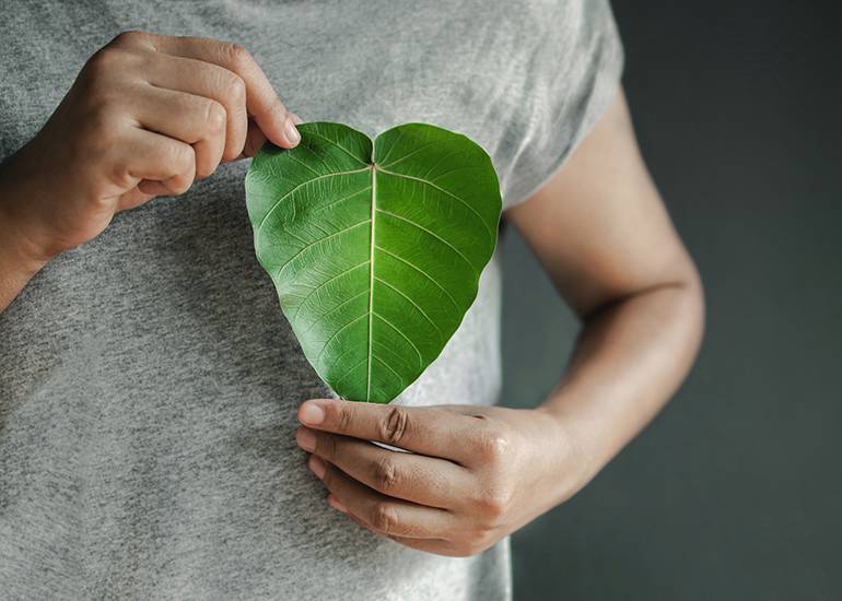 Close up of Hand Holding a Heart Shape green Leaf on Chest sustainability concept carbon footprint