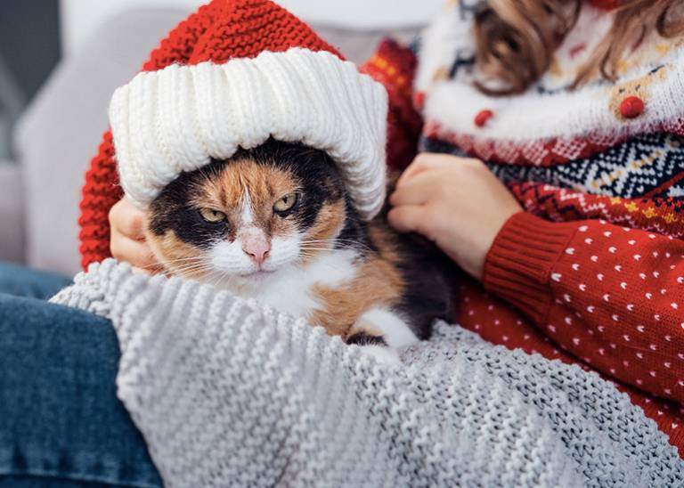Christmas blues: How to celebrate when you don’t feel like it
