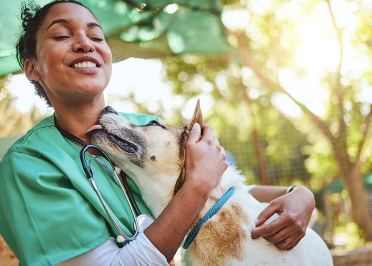 Volunteering your expertise: Good for the soul, great for business