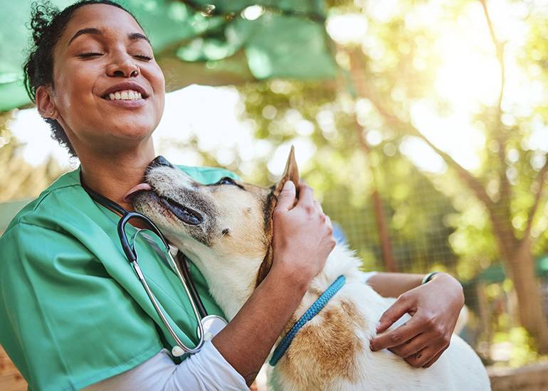 volunteer vet with dog