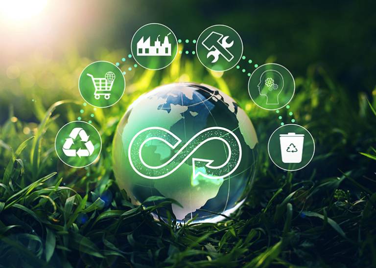 How to get sustainability right in your small business