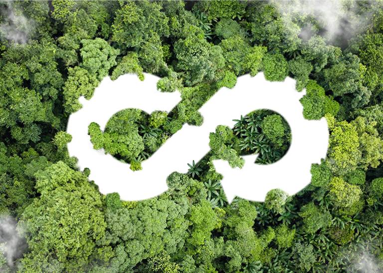 Circular Economy: How Small and Medium Businesses in Australia Can Drive the Transition and Improve Their Bottom Line