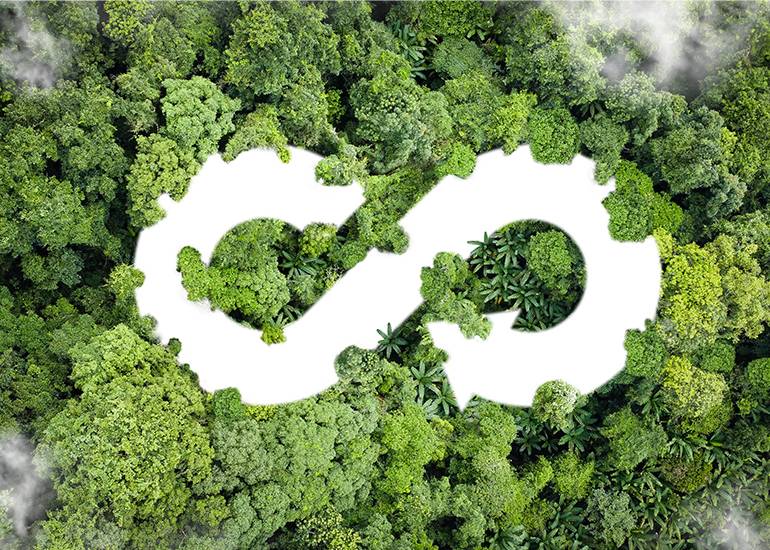 circular economy