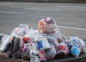 Trimming waste, not trees: 5 tips for a sustainable festive season