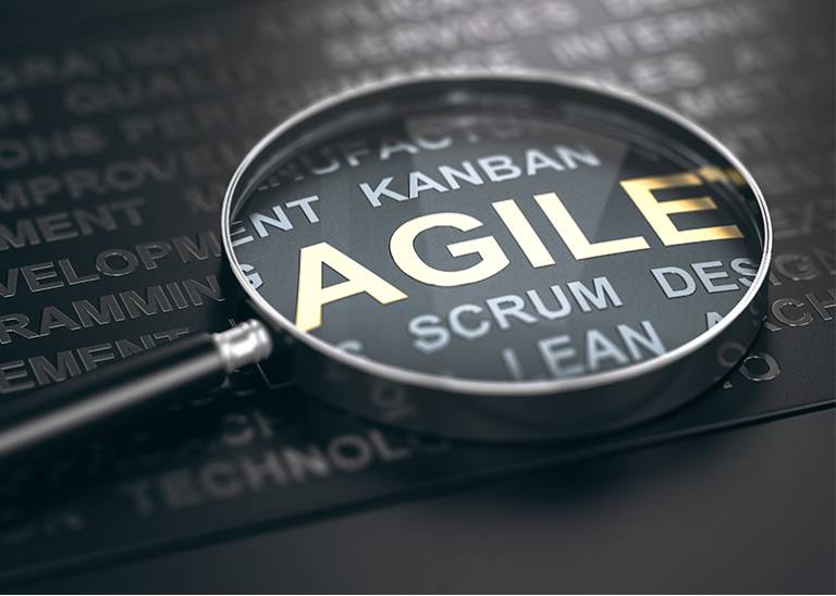 The agile approach to small and sustainable growth